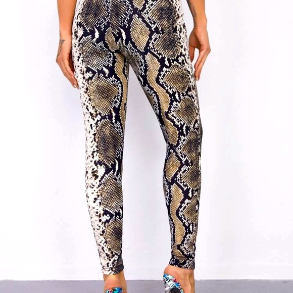 Snake print legend - Picture 2 of 2